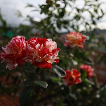 Homestay Doc Tinh Da Lat Zewnętrze zdjęcie