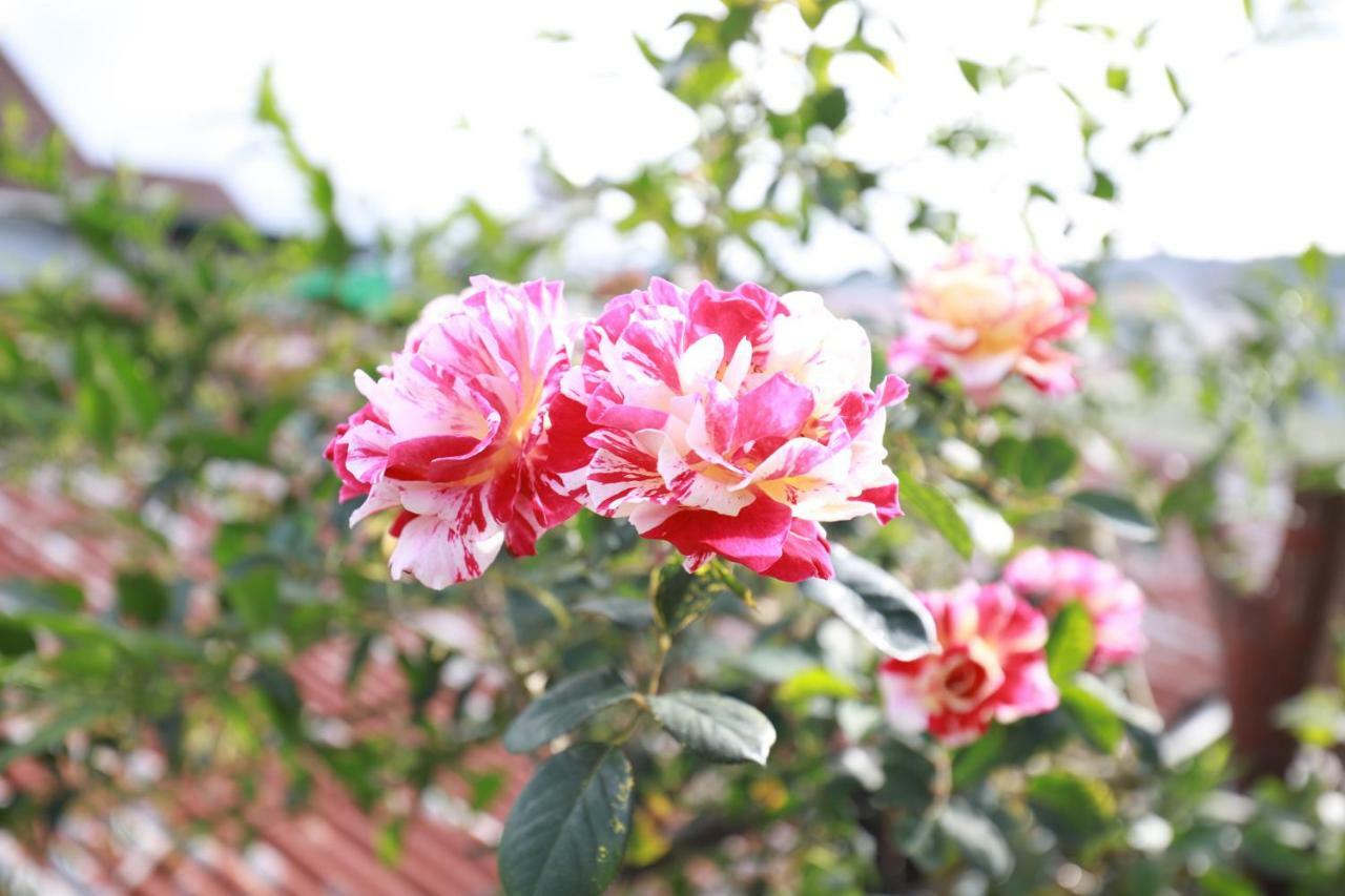 Homestay Doc Tinh Da Lat Zewnętrze zdjęcie