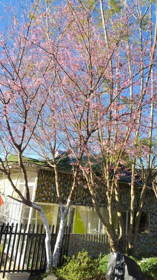 Homestay Doc Tinh Da Lat Zewnętrze zdjęcie